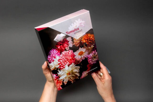 Merijntje aan de Rijn - Portfolio JULI2025 13 MZ large