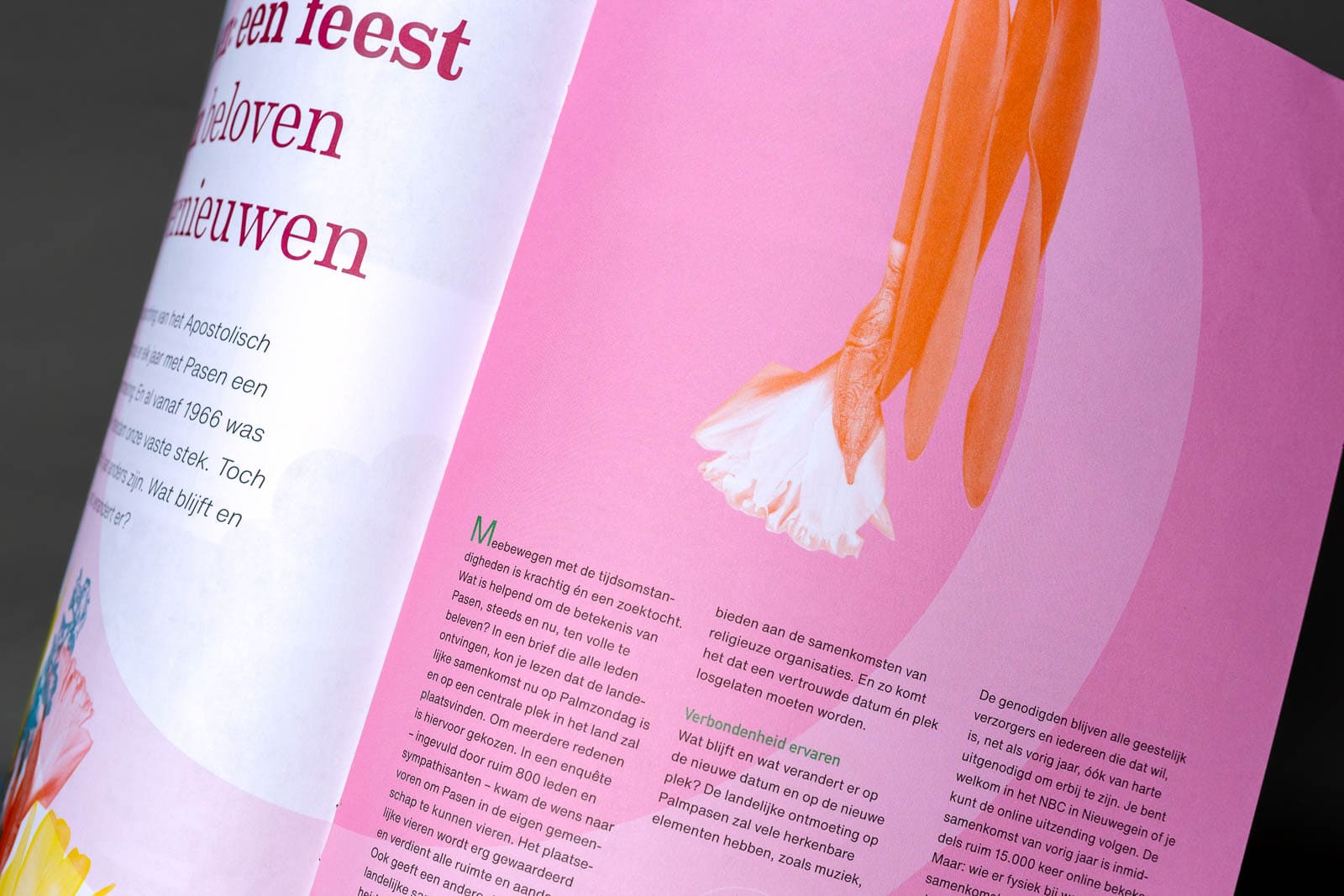 Merijntje aan de Rijn - Portfolio JULI2025 62 MZ large